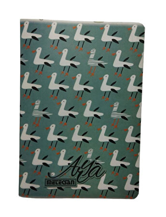 METEKSAN A5 PP KAPAK KARELİ DEFTER 100 YAPRAK
