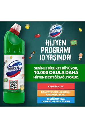 Domestos 806 gr Dağ Esintisi