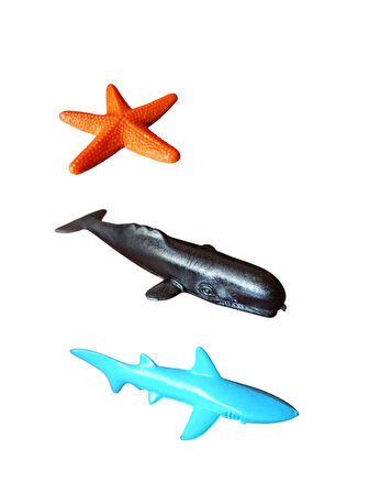 10 Karakterli Mini Deniz Hayvanları Figür Seti ile Denizlerin Gizemli Dünyasını Keşfedin!