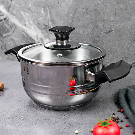 Aryıldız King Cam Kapak Tencere 16 cm