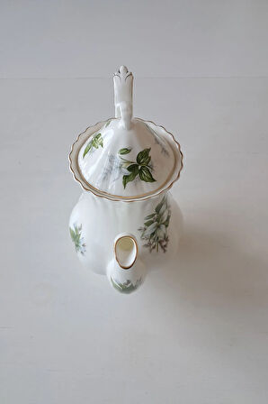 TRILLIUM Bone China England Vintage Porselen Çay/Kahve Demliği Yeşil Beyaz