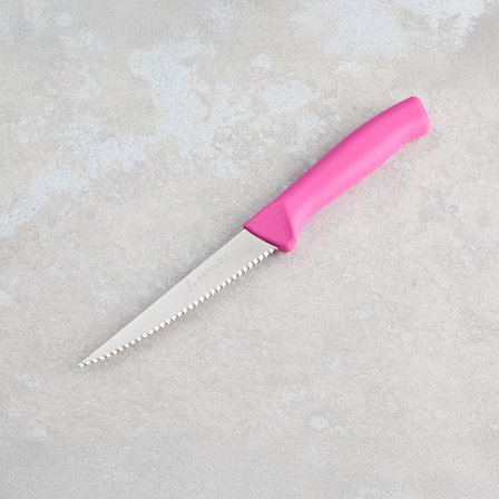 Aryıldız Rexa Tırtıklı Sebze Bıçak Lila 10 cm