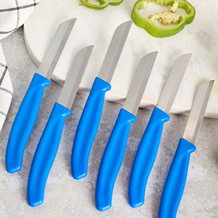 Aryıldız Mira 6 Parça Meyve Bıçak Seti Mavi