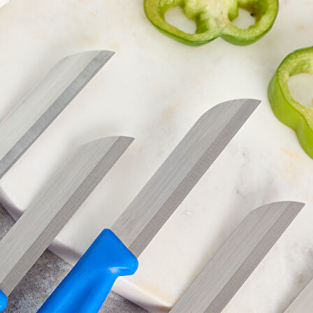 Aryıldız Mira 6 Parça Meyve Bıçak Seti Mavi