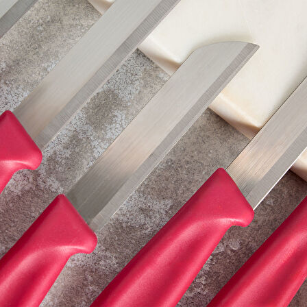 Aryıldız Mira 6 Parça Meyve Bıçak Seti Bordo