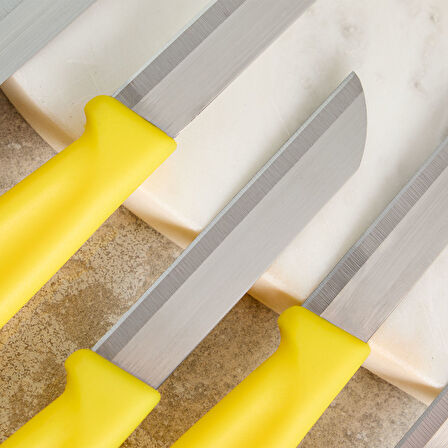 Aryıldız Mira 6 Parça Meyve Bıçak Seti Sarı