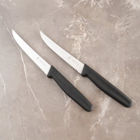Aryıldız Daily Steak Bıçak 2’li Siyah