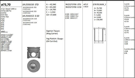 Ford Motor Piston+segmanı ( Riken )  73,70+stdmm(-20) Cap Fiesta V 1.4 Tdci Fusıon 1.4 Tdci Mazda 2 1,4d - Kingpiston 18-2550150-20