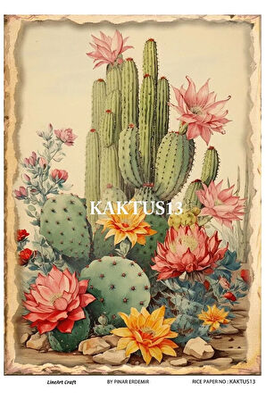 Kaktüs Serisi KKTS13 Kaktüs Desenli Pirinç Dekopaj 30x42