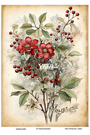 Y669 Yeniyıl, Kokina Desenli Pirinç Dekopaj 30x42