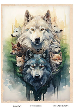 Kurt Serisi KURT1 Kurt, Vahşi, Asil Desen Pirinç Dekopaj 30x42