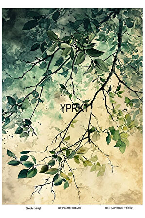 Yaprak Serisi YPRK1 Desenli Pirinç Dekopaj 30x42