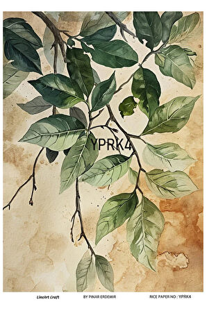 Yaprak Serisi YPRK4 Desenli Pirinç Dekopaj 30x42