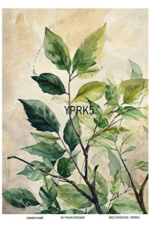 Yaprak Serisi YPRK5 Desenli Pirinç Dekopaj 30x42