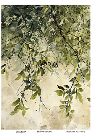 Yaprak Serisi YPRK6 Desenli Pirinç Dekopaj 30x42