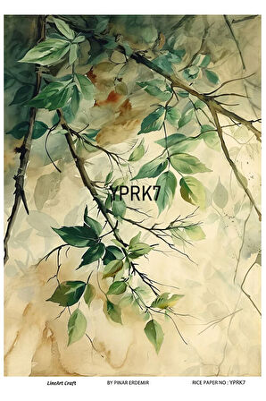 Yaprak Serisi YPRK7 Desenli Pirinç Dekopaj 30x42