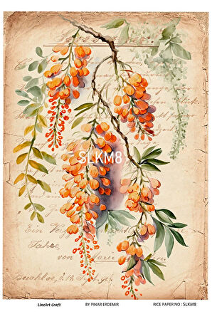 Salkım Serisi SLKM8 Pirinç Dekopaj 30x42