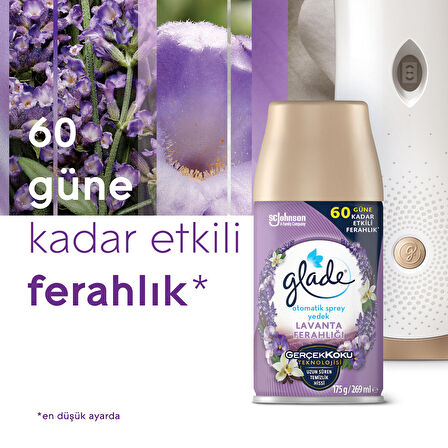 Otomatik Sprey Yedek, 2'li Paket, Lavanta Ferahlığı, 269ml (2 Yedek)