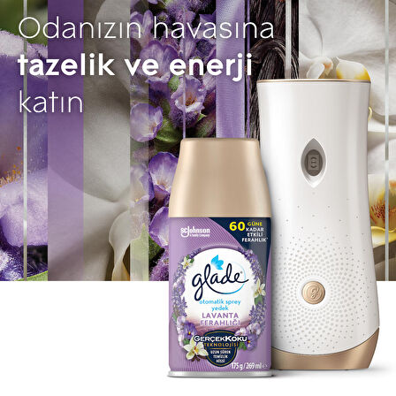 Otomatik Sprey Yedek, 2'li Paket, Lavanta Ferahlığı, 269ml (2 Yedek)