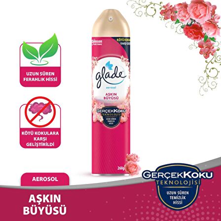 Hava Tazeleyici Aerosol, Oda Kokusu, Aşkın Büyüsü, 300ml