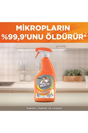 Advanced Power Mutfak Temizleyici Limon 750ml