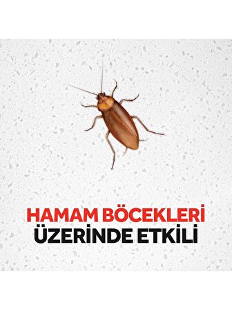 Raid Hamam Böceği Yemi 6 Adet