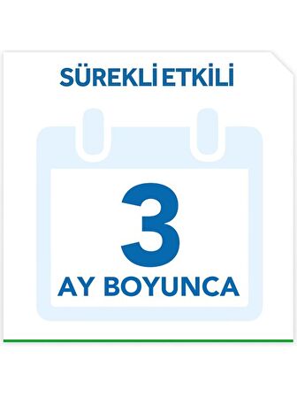 Raid Hamam Böceği Yemi 6 Adet