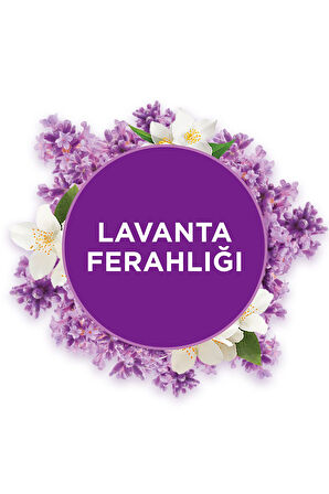 Banyo Hava Tazeleyici Set | 2 Cihaz + 4 Yedek (Lavanta & Temiz Çarşaf Ferahlığı)