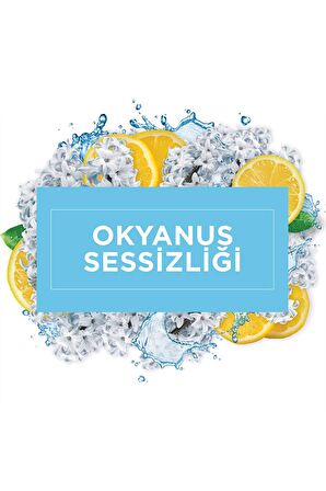 Konsantre Yüzey Temizleyici, Okyanus Sessizliği 1L