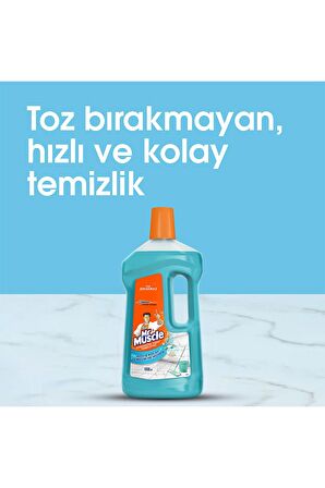 Konsantre Yüzey Temizleyici, Okyanus Sessizliği 1L