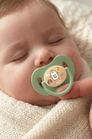 Wee Baby Duo Simetrik Uçlu Silikon Emzik 0-6 Ay