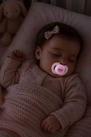 Wee Baby 2'li Gece Gündüz Damaklı Silikon Emzik 0-6 Ay (Saklama Kabı Hediyeli) Pembe
