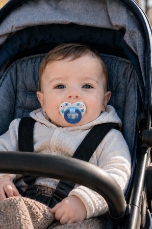 Wee Baby Desenli Damaklı Silikon Emzik 18+ Ay Mavi