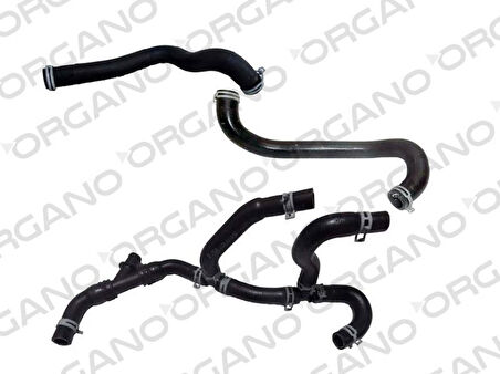 Ford Hortum Seti (11424,11425,11426) Transıt V347 - Ucpa 13h11010