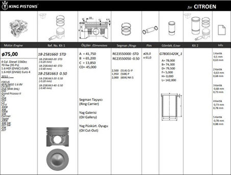 Ford Piston Segman Takım (std)  ( Riken ) P308 P3008 Partner Tepe P207 P508 P5008 Expert III Jumpy III Sc - Kingpiston 18-2581660
