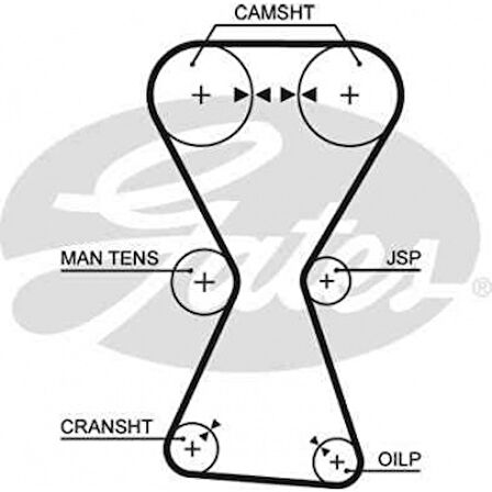 Kore Triger Kayısı - Zamanlama Kayısı - Gts 5255xs