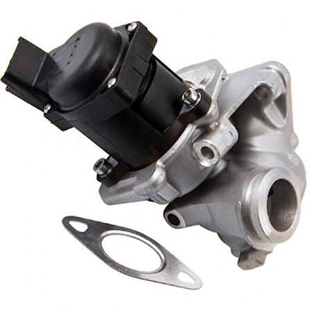 Psa Egr Valfı Fiesta V VI 03>11 C Max Focus II 04>11 Fusıon 03>12 1,6tdci C4 C5 Xsara 206 207 307 308 30 - Delphi Eg10507-12b1