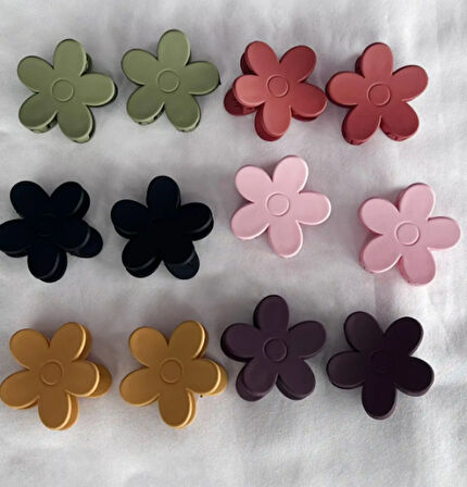 12'li Karışık Renk Çicek Figürlü