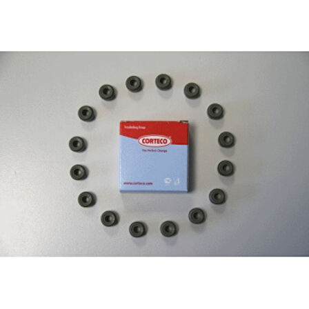 Renault Motor Subap Lastıgı 1.2 16v Clio III IV Modus Twingo 2001-> - Corteco 19036100