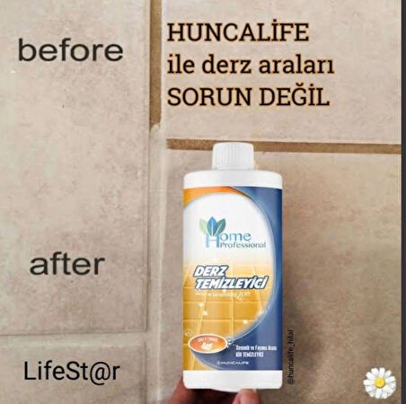 HOME Professional Derz Temizleyici 750ml