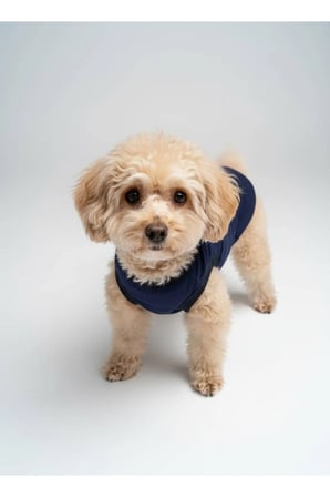 moffi Kedi Ve Küçük Irk Köpekler İçin Günlük Kullanım Pamuklu Atlet