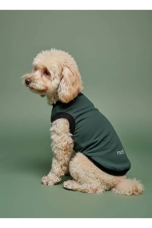 moffi Kedi Ve Küçük Irk Köpekler İçin Günlük Kullanım Pamuklu Atlet