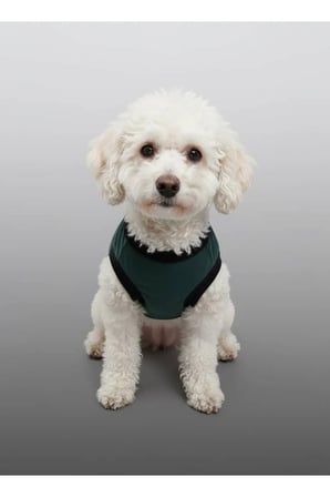 moffi Kedi Ve Küçük Irk Köpekler İçin Günlük Kullanım Pamuklu Atlet