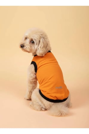 moffi Kedi Ve Küçük Irk Köpekler İçin Günlük Kullanım Pamuklu Atlet