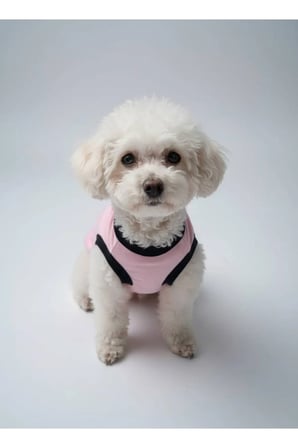 moffi Kedi Ve Küçük Irk Köpekler İçin Günlük Kullanım Pamuklu Atlet
