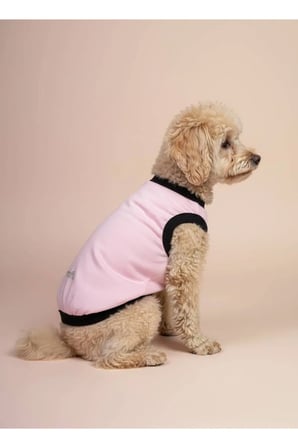 moffi Kedi Ve Küçük Irk Köpekler İçin Günlük Kullanım Pamuklu Atlet