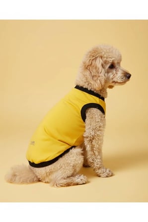 moffi Kedi Ve Küçük Irk Köpekler İçin Günlük Kullanım Pamuklu Atlet