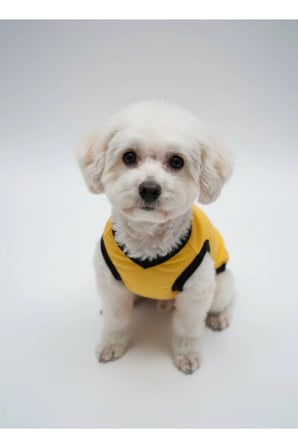 moffi Kedi Ve Küçük Irk Köpekler İçin Günlük Kullanım Pamuklu Atlet