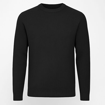 Slim Fit Bisiklet Yaka Uzun Kol Erkek Triko - 7426