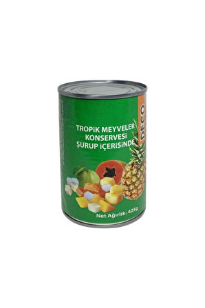Tropik Meyveler Konservesi Şurup Içerisinde 425gr